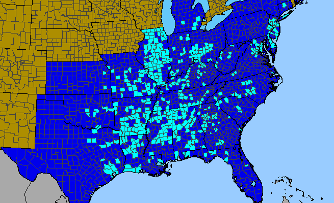 The range of Pyrus calleryana